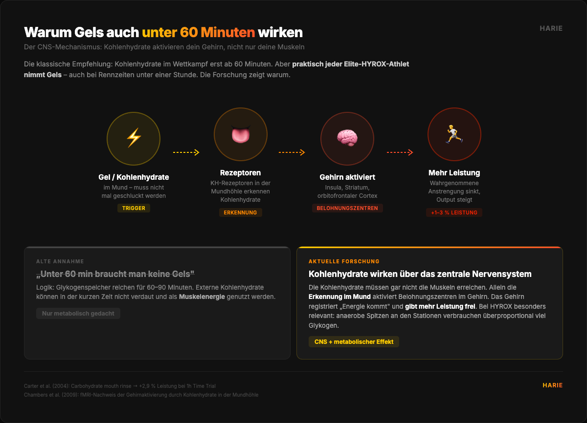 Warum Gels auch unter 60 Minuten wirken: Der CNS-Mechanismus – Kohlenhydrate aktivieren dein Gehirn, nicht nur deine Muskeln